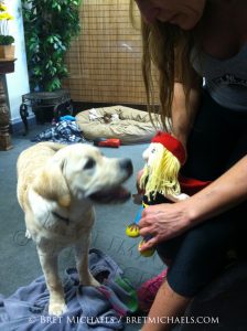 The Adventures of Bandana Man